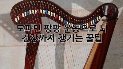 도파민 팡팡💥 운동으로 뇌 건강까지 챙기는 꿀팁🍯