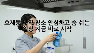효제동 방역 청소🚨 안심하고 숨 쉬는 일상, 지금 바로 시작!